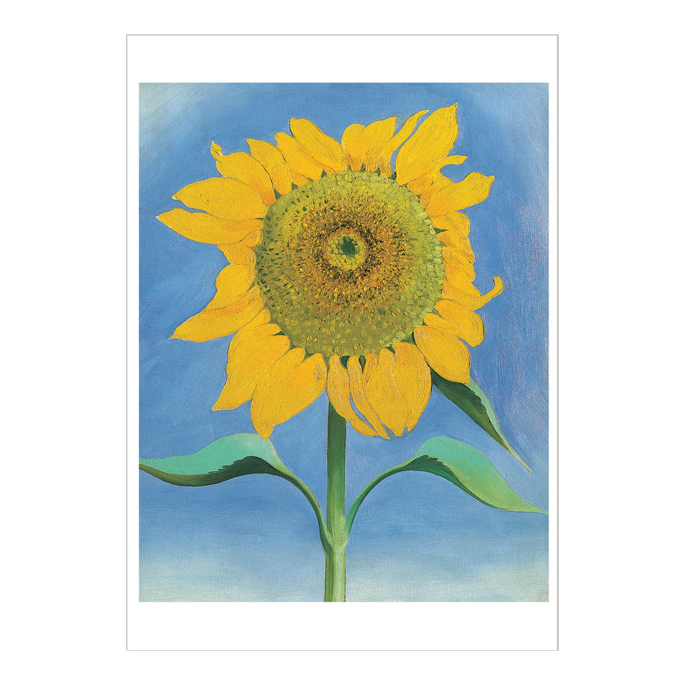 Georgia O’Keeffe: Sunflowers Boxed Notecards