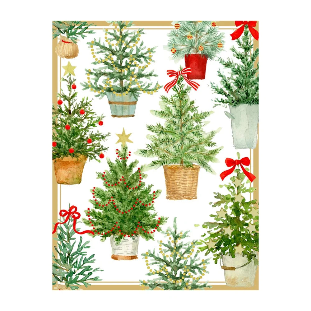 Potted Christmas Trees Boxed Holiday Cards