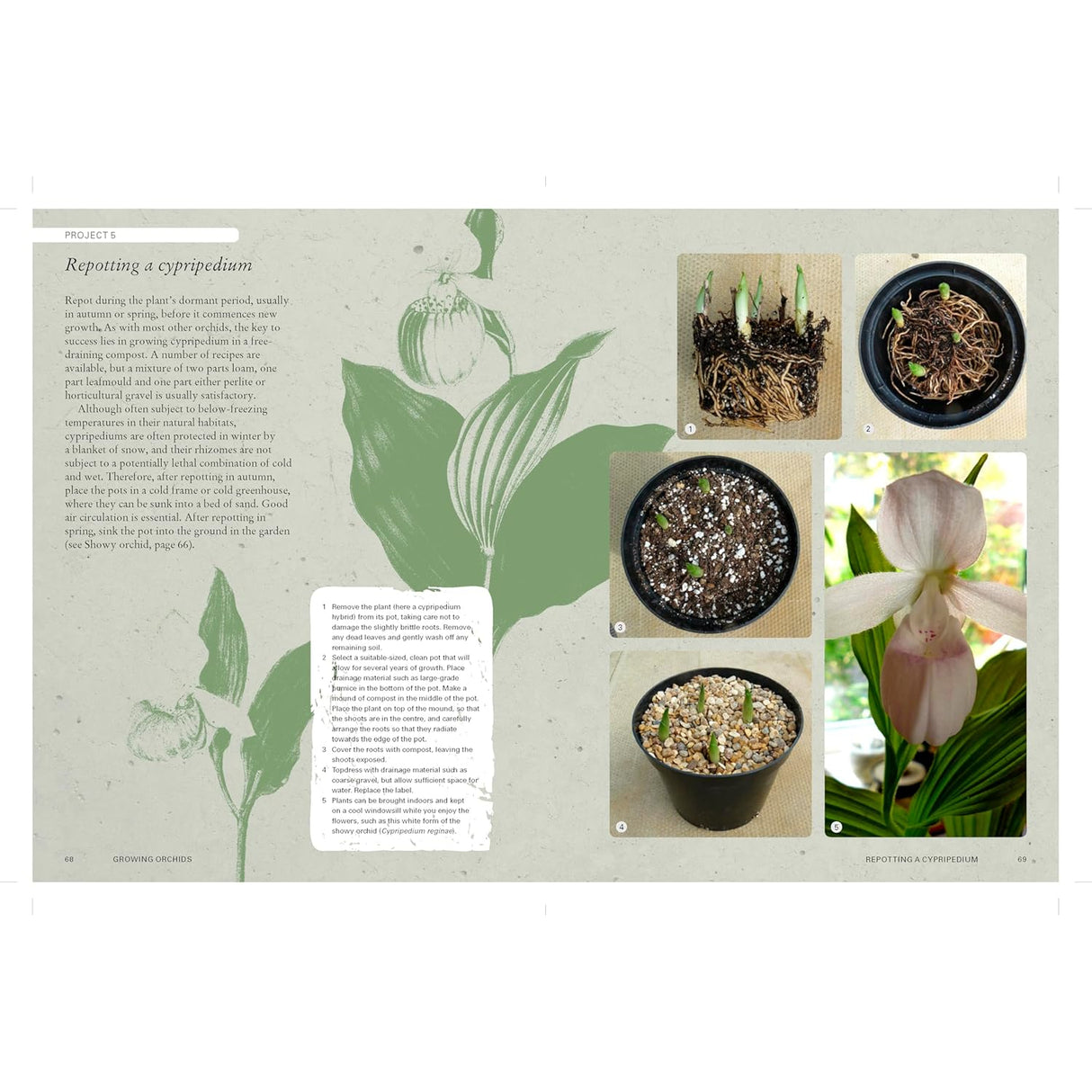 The Kew Gardener's Guide to Growing Orchids