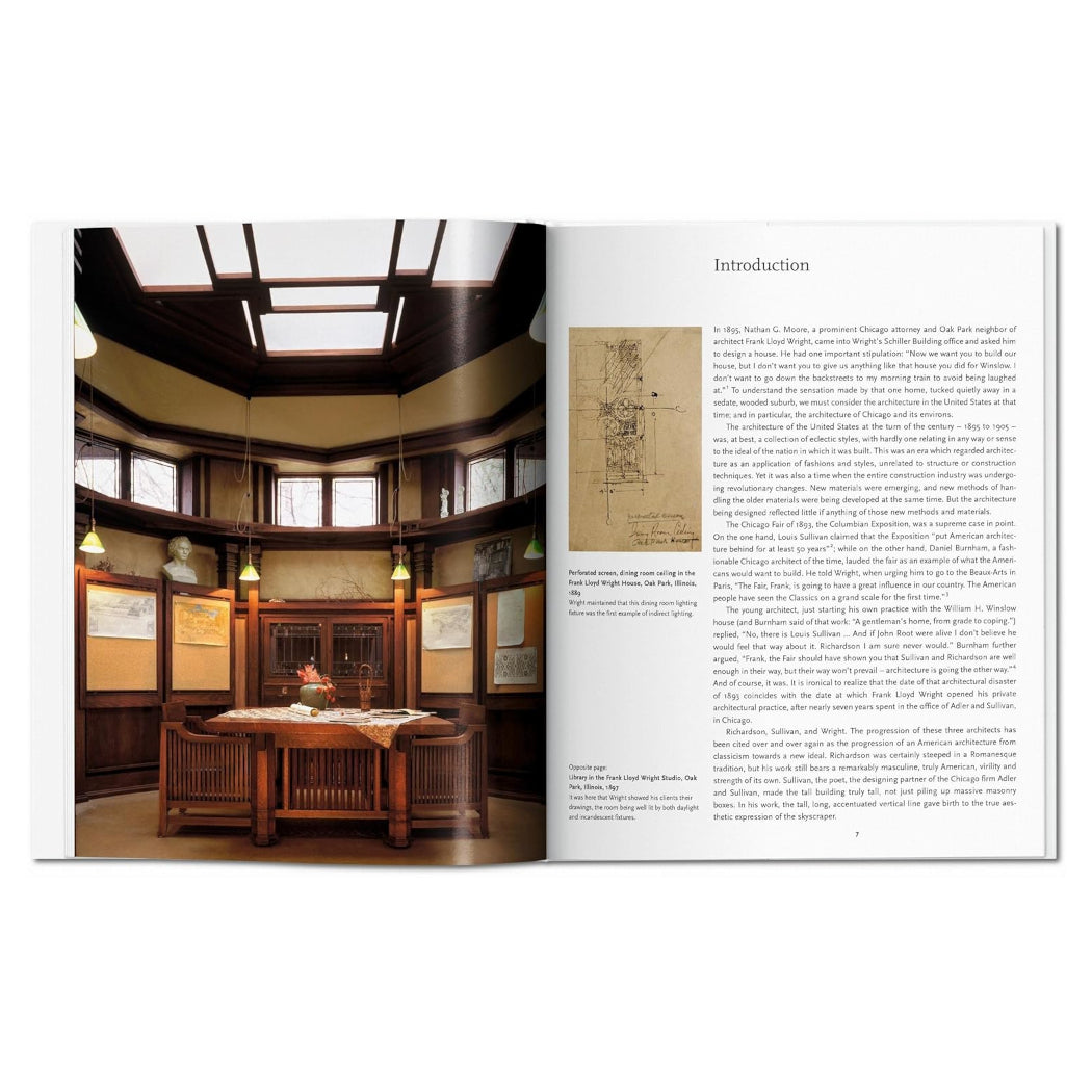 F. L. Wright (Basic Art Series 2.0)