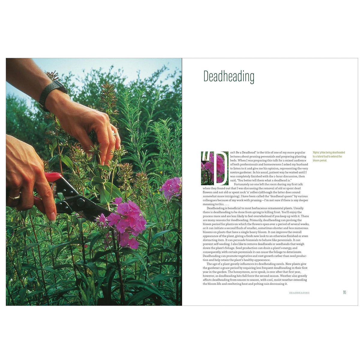 The Well-Tended Perennial Garden