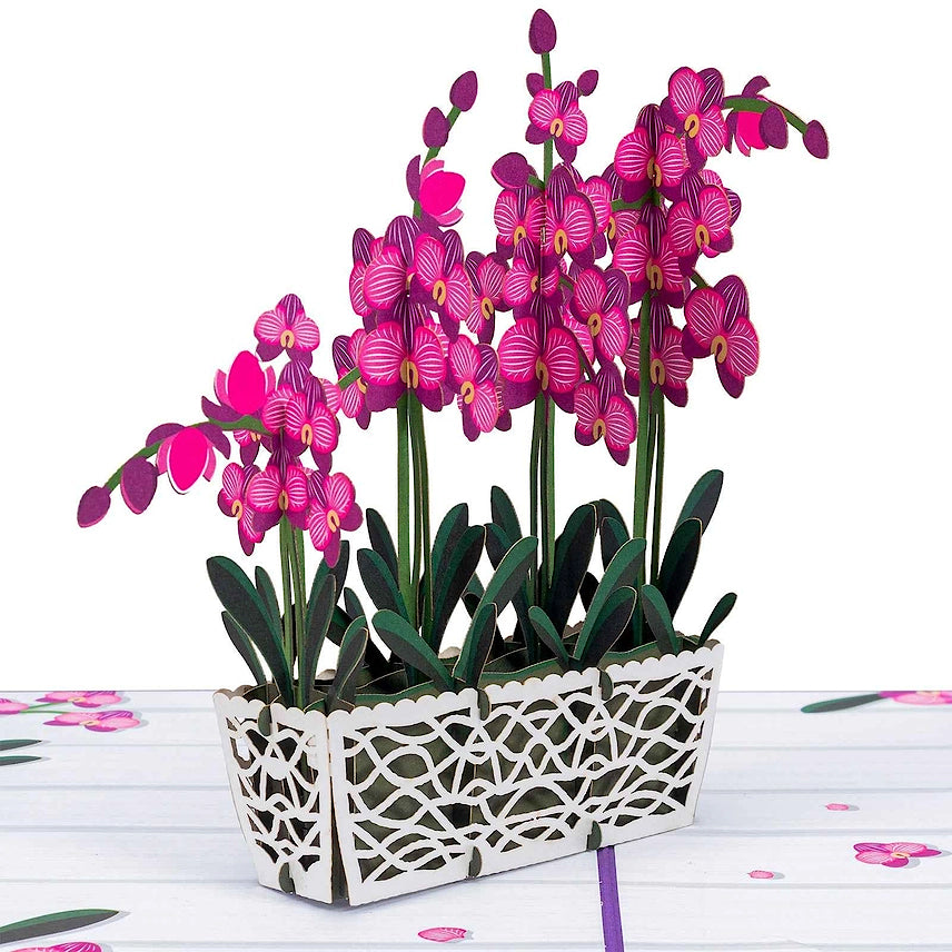 Orchids Pop-Up Card