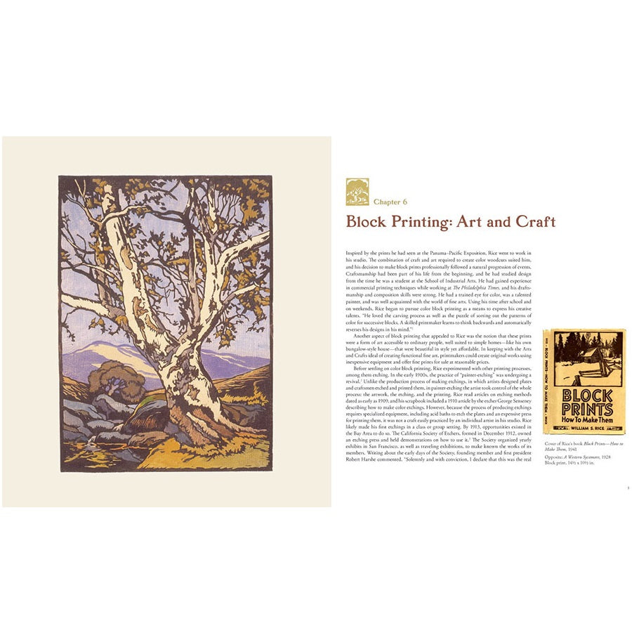 William Rice: Art and Life