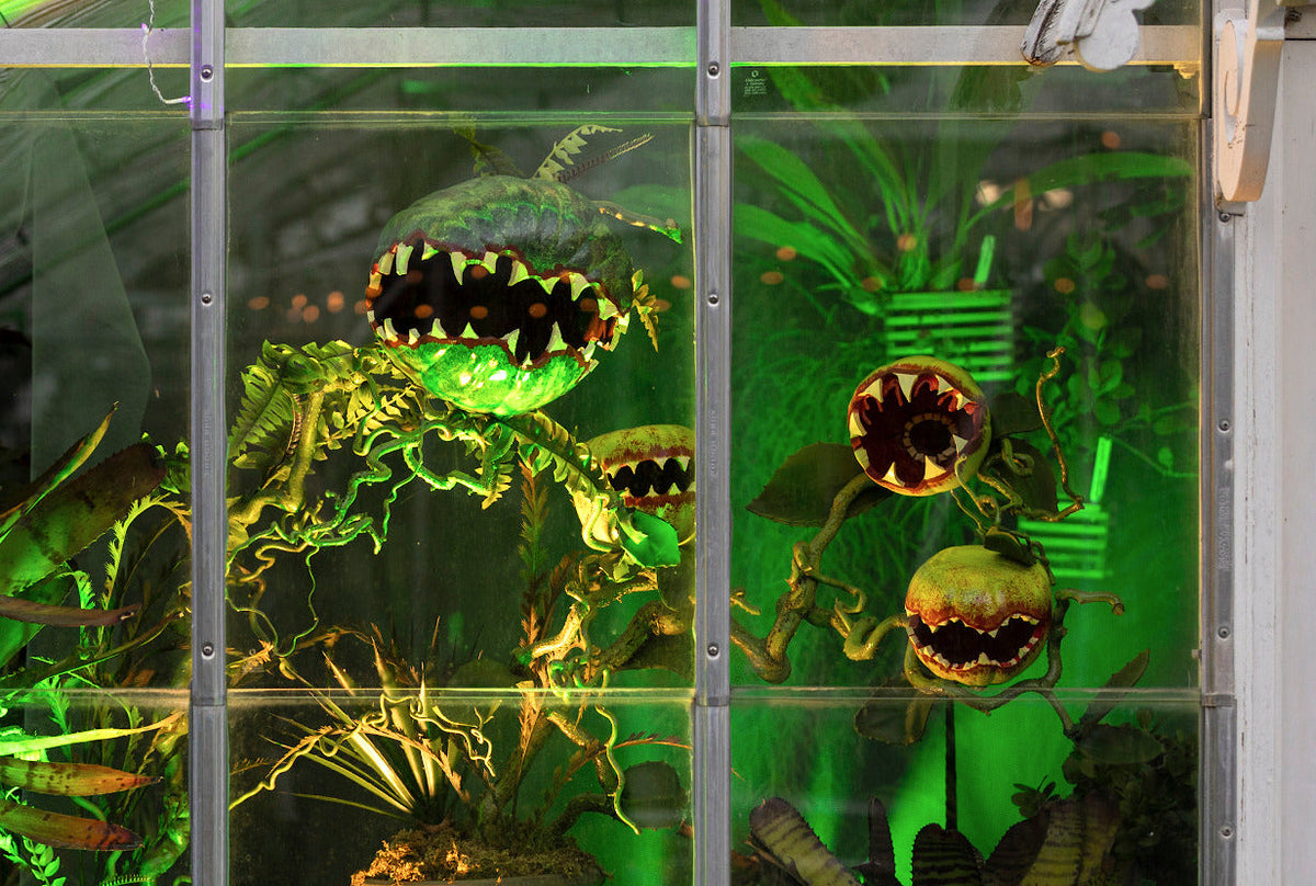 Wicked Garden