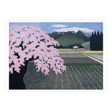 Kazuyuki Ohtsu: Cherry Trees Boxed Notecards