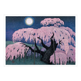 Kazuyuki Ohtsu: Cherry Trees Boxed Notecards
