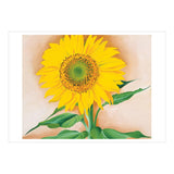 Georgia O’Keeffe: Sunflowers Boxed Notecards