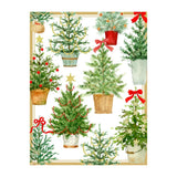 Potted Christmas Trees Boxed Holiday Cards