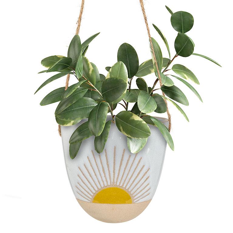 Sunshine Hanging Planter