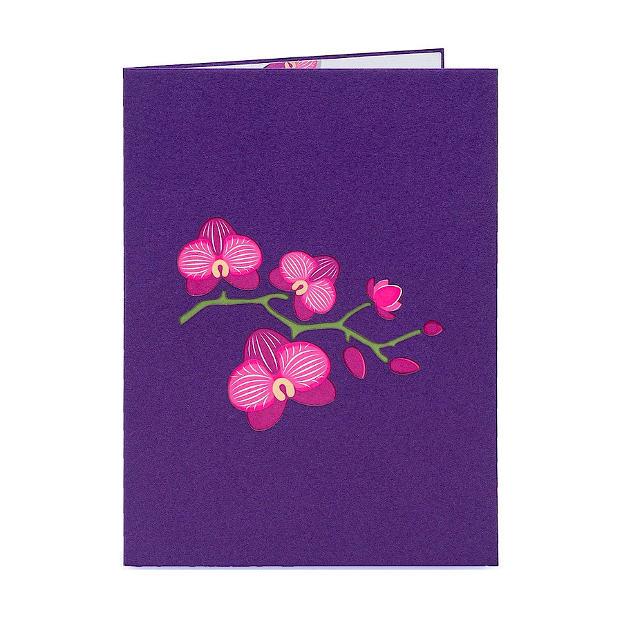 Orchids Pop-Up Card