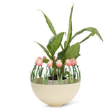 Tulip Ball Vase