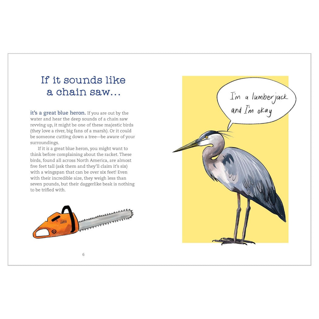 Bird Talk