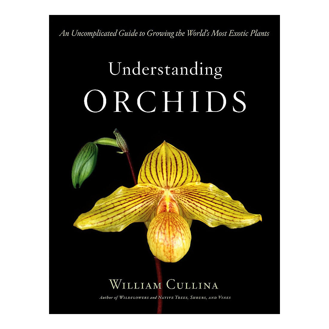 Understanding Orchids