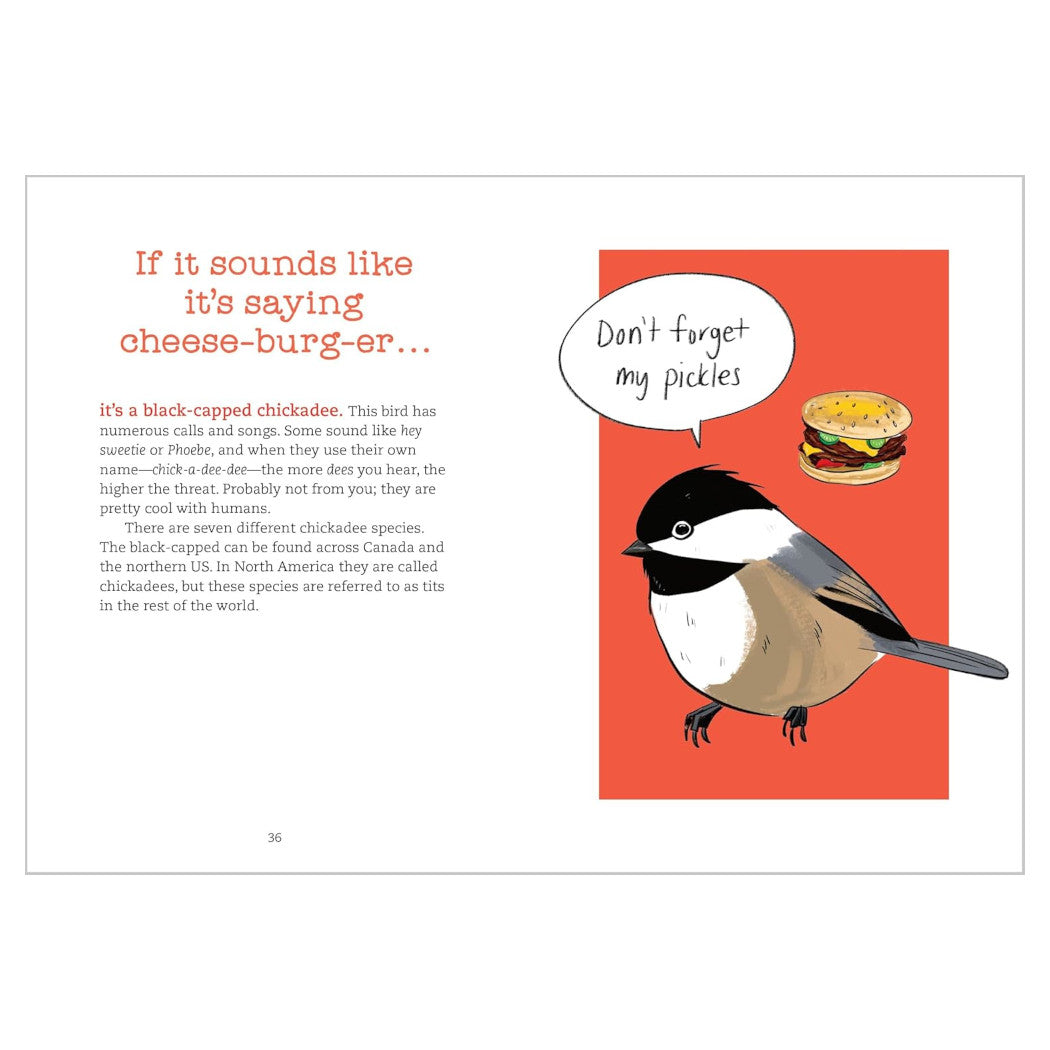 Bird Talk