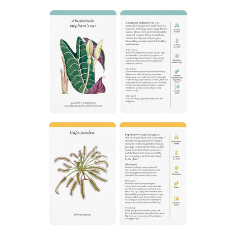 A Home Full of House Plants: A Practical Card Deck