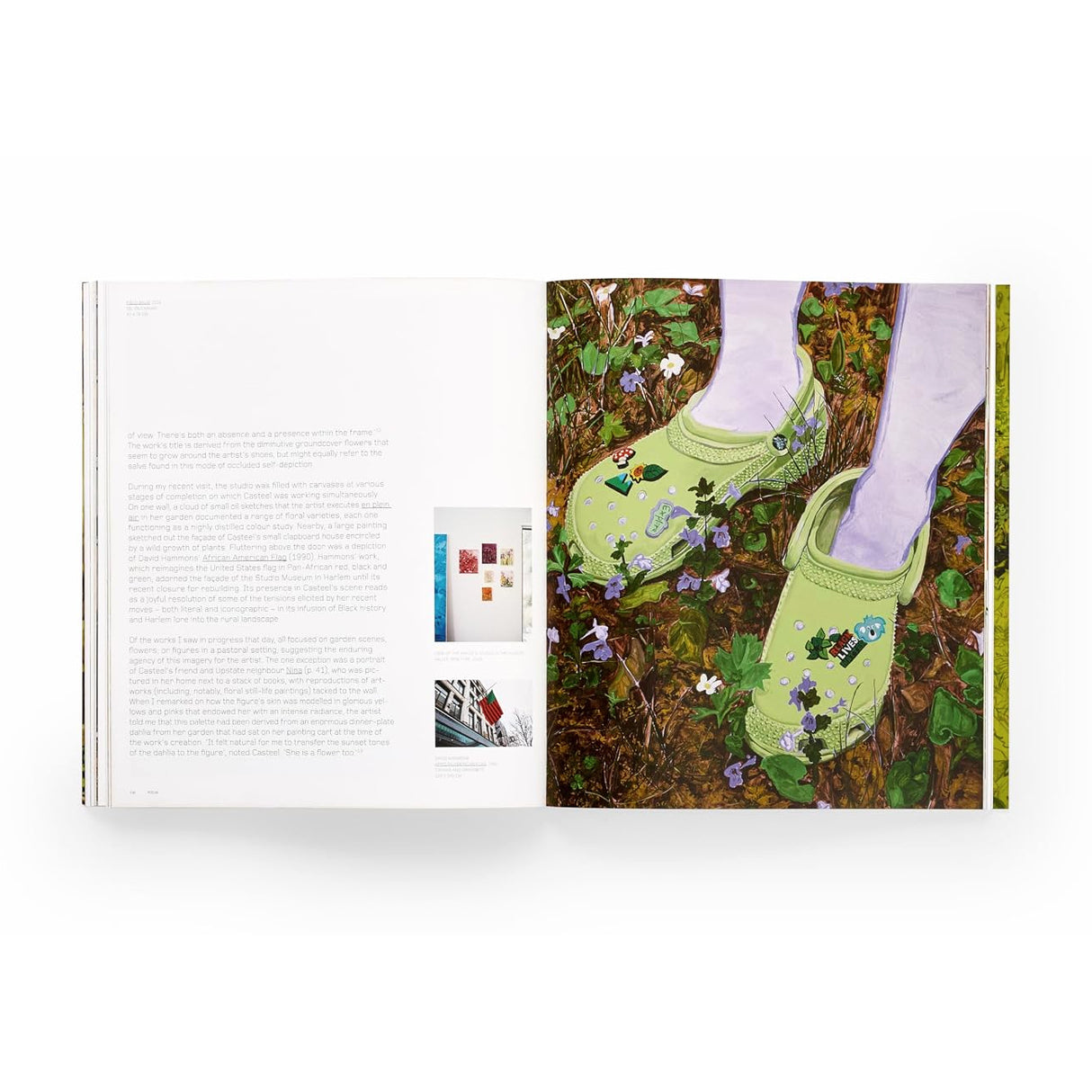 Jordan Casteel (Phaidon Contemporary Artists Series)