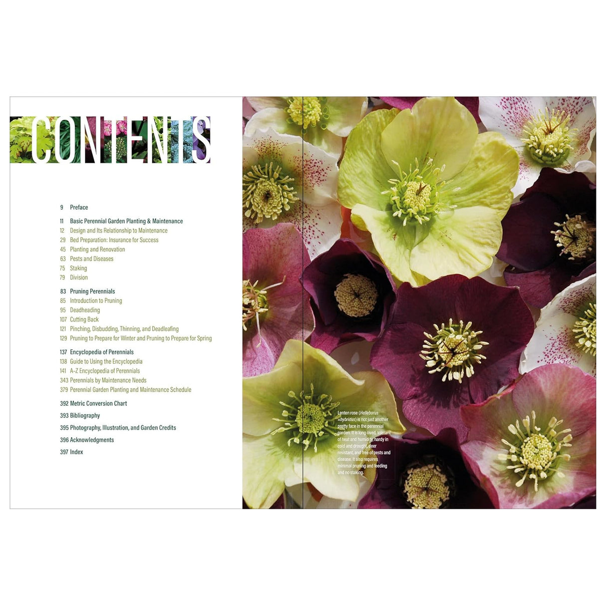 The Well-Tended Perennial Garden