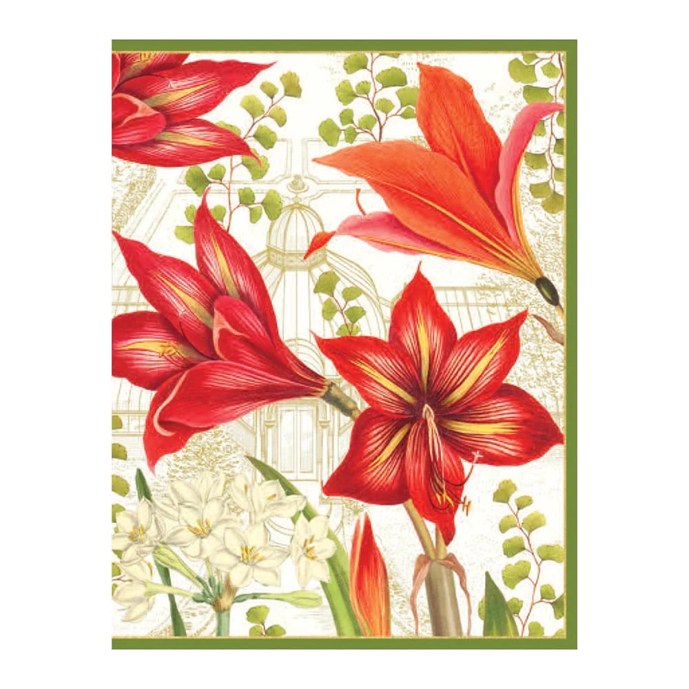 Amaryllis & Conservatory Boxed Holiday Cards