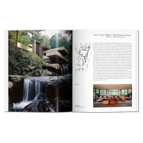 F. L. Wright (Basic Art Series 2.0)