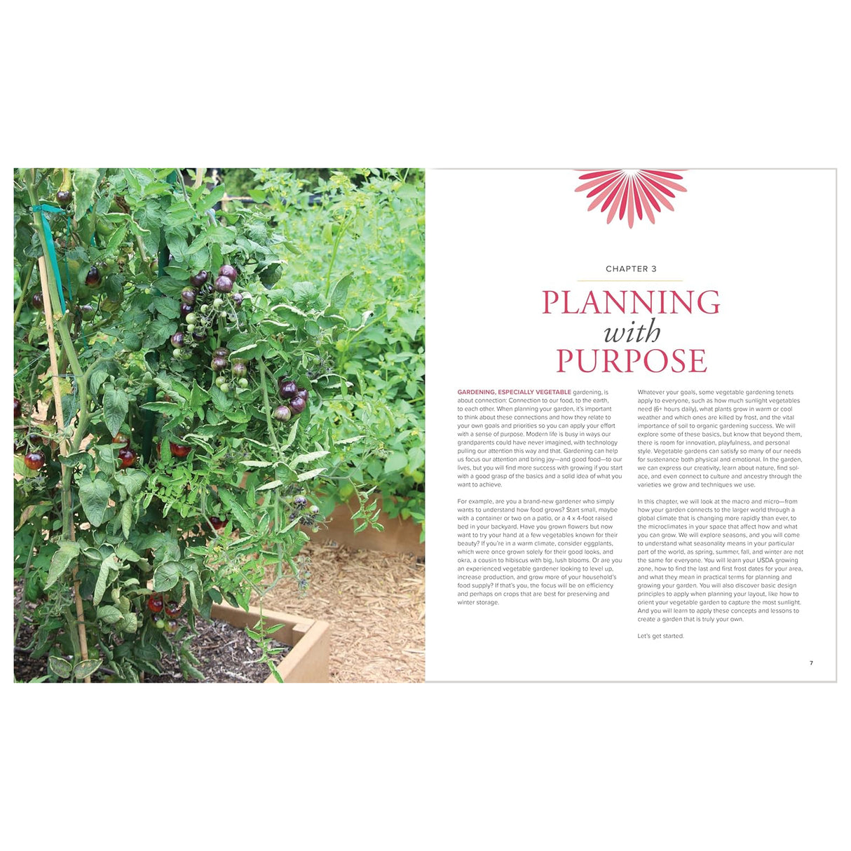 AHS Essential Guide to Organic Vegetable Gardening