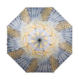 Dalí's Disintegration Umbrella