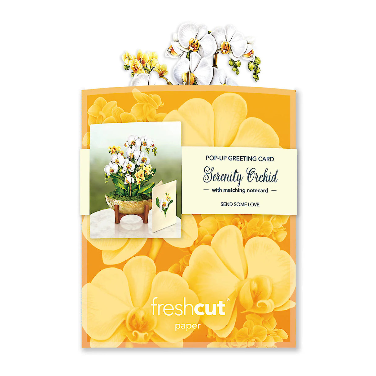 Mini Serenity Orchid Pop-Up Greeting Card