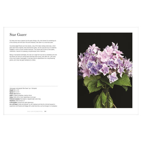 Hydrangeas: Beautiful Varieties For Home & Garden