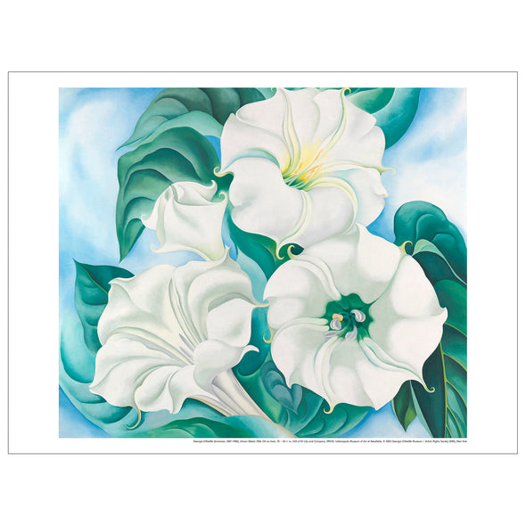 Georgia O'Keeffe, 'Jimson Weed' Print