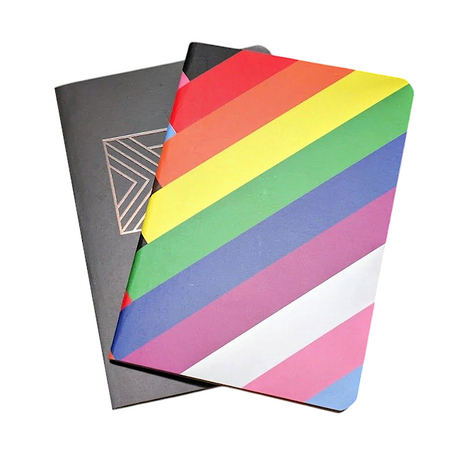 Daniel Quasar Progress Notebook Set with Sticker Sheets