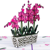 Orchids Pop-Up Card