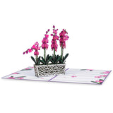 Orchids Pop-Up Card