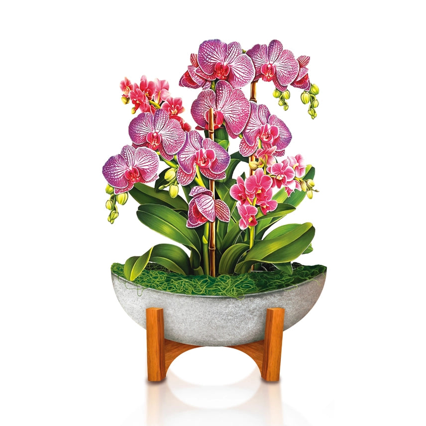 Mini Orchid Oasis Pop-Up Greeting Card