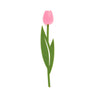 Tulip Bookmark