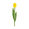 Tulip Bookmark