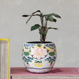 5" Botanical Terracotta Planter