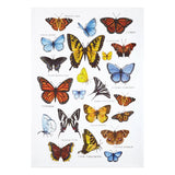 Butterfly Field Guide Tea Towel