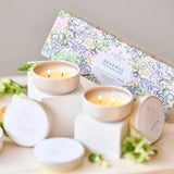 Renewal Discovery Trio by Linnea