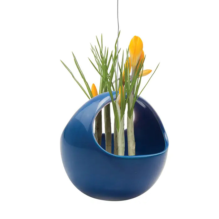 Hanging Aerium Nest Planter