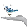 Bright Blue Jay Clip Ornament