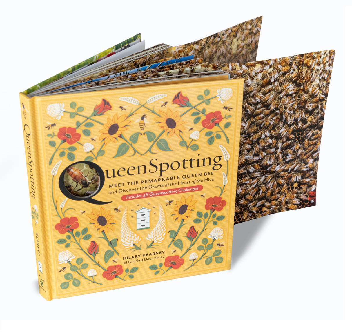 Queenspotting:  Meet the Remarkable Queen Bee and Discover the Drama at the Heart of the Hive