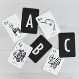Animal Alphabet Flash Cards